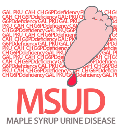 maple syrup urine disease gene reviews